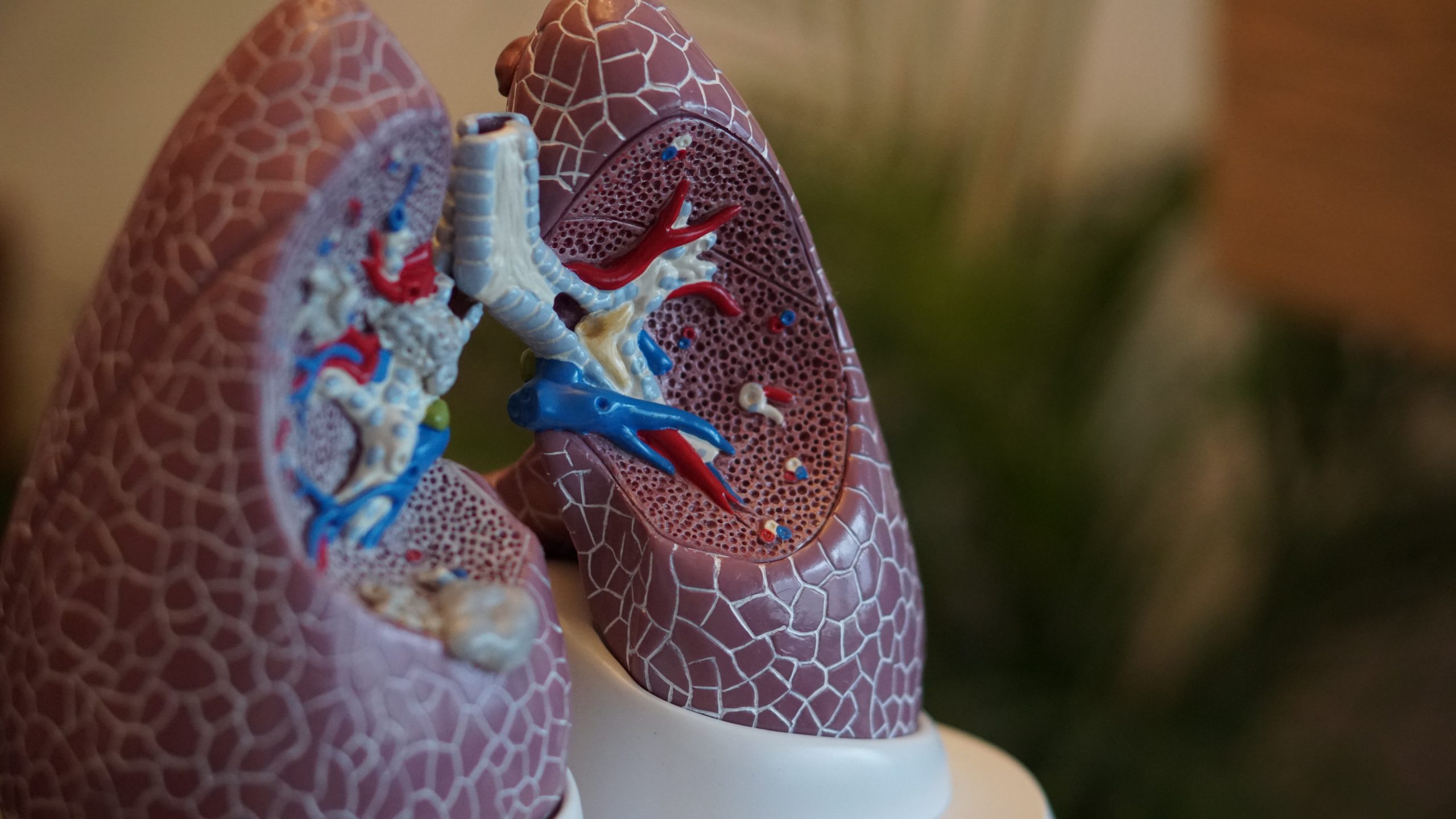 La respiración en el canto, una eterna controversia